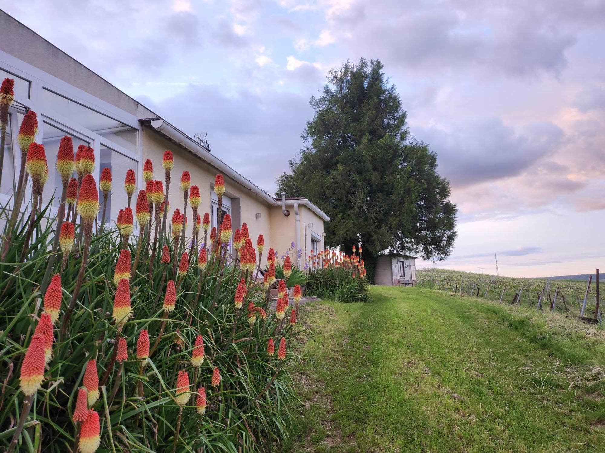 Apartmán L'Echappee Bulles Épernay Exteriér fotografie